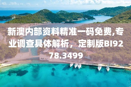 新澳内部资料精准一码免费,专业调查具体解析，定制版BI9278.3499