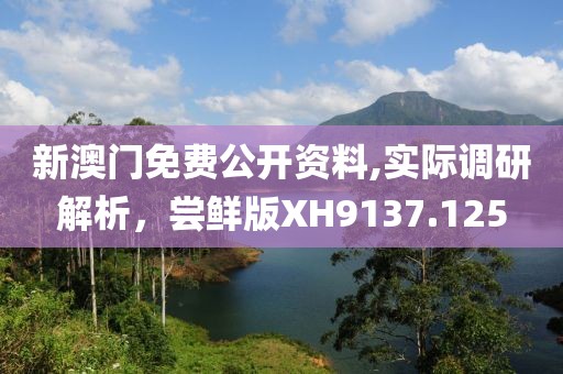 新澳门免费公开资料,实际调研解析，尝鲜版XH9137.125