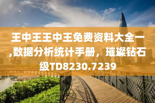王中王王中王免费资料大全一,数据分析统计手册，璀璨钻石级TD8230.7239