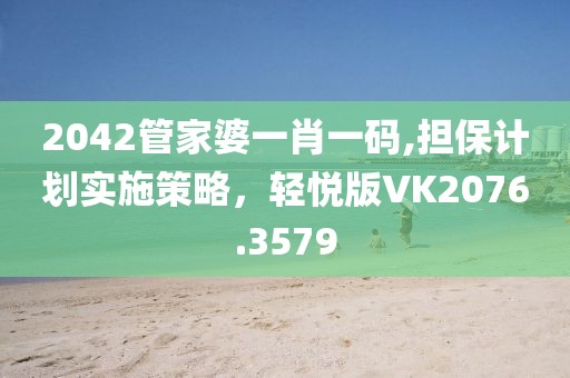 2042管家婆一肖一码,担保计划实施策略，轻悦版VK2076.3579