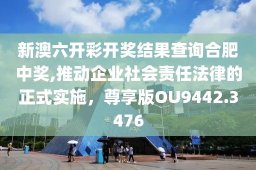 新澳六开彩开奖结果查询合肥中奖,推动企业社会责任法律的正式实施，尊享版OU9442.3476