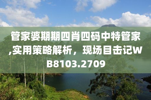 管家婆期期四肖四码中特管家,实用策略解析，现场目击记WB8103.2709