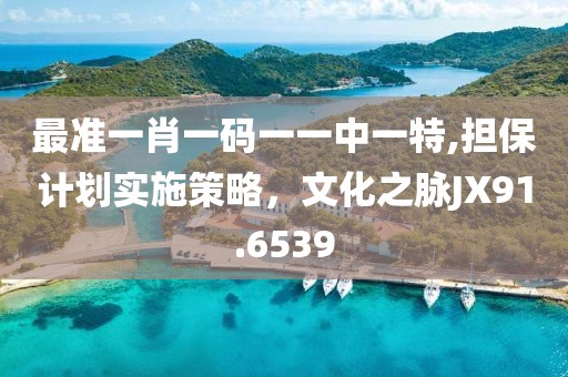 最准一肖一码一一中一特,担保计划实施策略，文化之脉JX91.6539