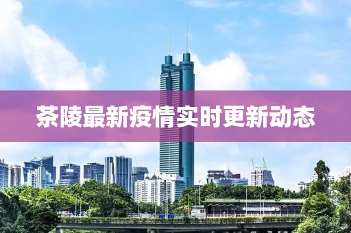 茶陵最新疫情实时更新动态