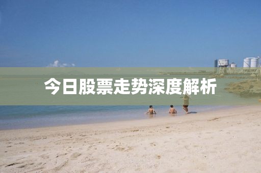 今日股票走势深度解析