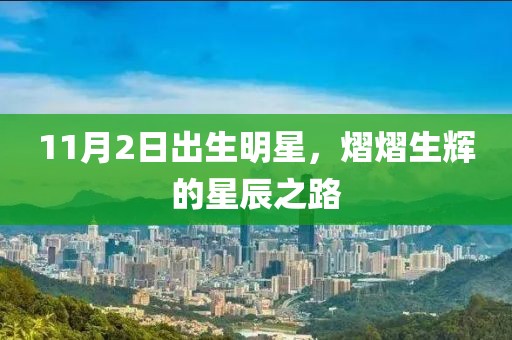 11月2日出生明星，熠熠生辉的星辰之路