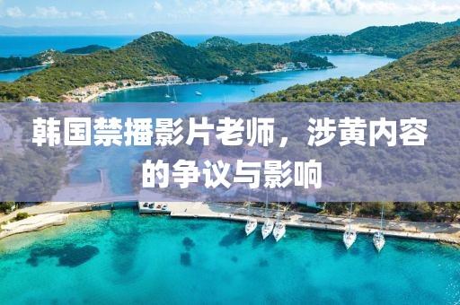 韩国禁播影片老师，涉黄内容的争议与影响