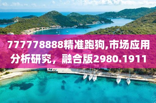 777778888精准跑狗,市场应用分析研究，融合版2980.1911