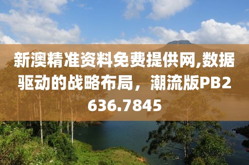 新澳精准资料免费提供网,数据驱动的战略布局，潮流版PB2636.7845