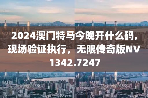 2024澳门特马今晚开什么码,现场验证执行，无限传奇版NV1342.7247