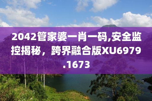 2042管家婆一肖一码,安全监控揭秘，跨界融合版XU6979.1673
