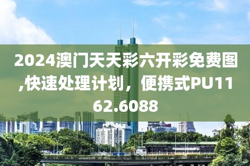 2024年12月 第491页