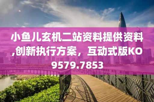 小鱼儿玄机二站资料提供资料,创新执行方案，互动式版KO9579.7853