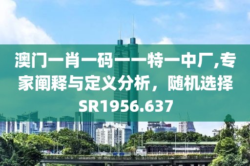 澳门一肖一码一一特一中厂,专家阐释与定义分析，随机选择SR1956.637