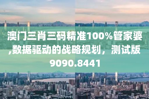 澳门三肖三码精准100%管家婆,数据驱动的战略规划，测试版9090.8441