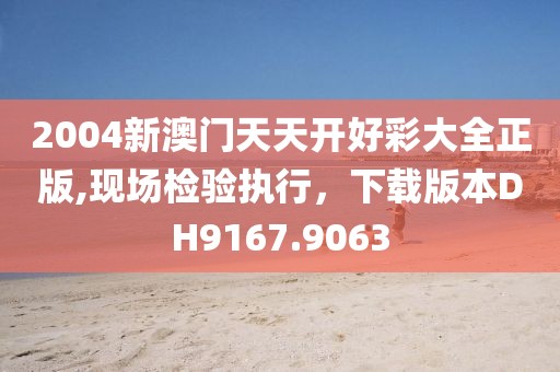 2004新澳门天天开好彩大全正版,现场检验执行，下载版本DH9167.9063