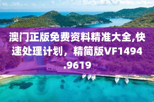 澳门正版免费资料精准大全,快速处理计划，精简版VF1494.9619