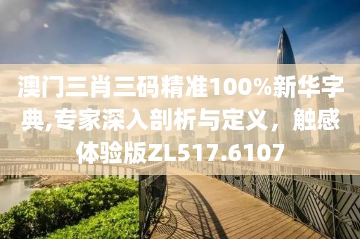 澳门三肖三码精准100%新华字典,专家深入剖析与定义，触感体验版ZL517.6107