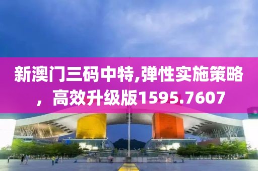 新澳门三码中特,弹性实施策略，高效升级版1595.7607