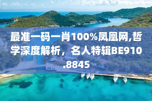 最准一码一肖100%凤凰网,哲学深度解析，名人特辑BE910.8845