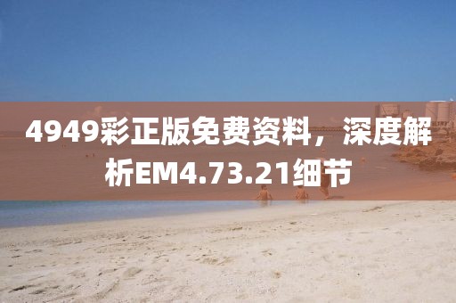 4949彩正版免费资料，深度解析EM4.73.21细节
