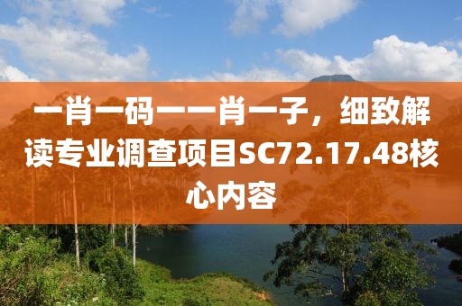 一肖一码一一肖一子，细致解读专业调查项目SC72.17.48核心内容