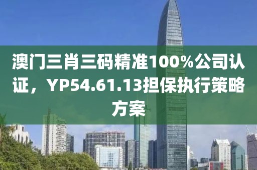澳门三肖三码精准100%公司认证，YP54.61.13担保执行策略方案