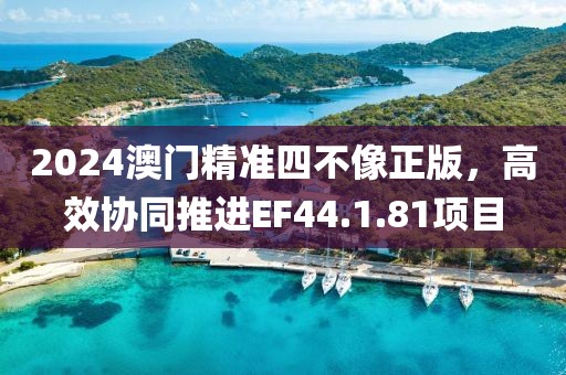 2024澳门精准四不像正版，高效协同推进EF44.1.81项目