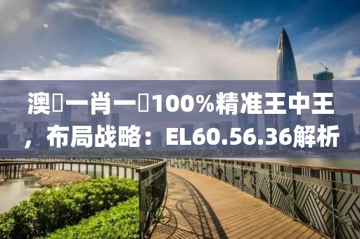 澳門一肖一碼100%精准王中王，布局战略：EL60.56.36解析