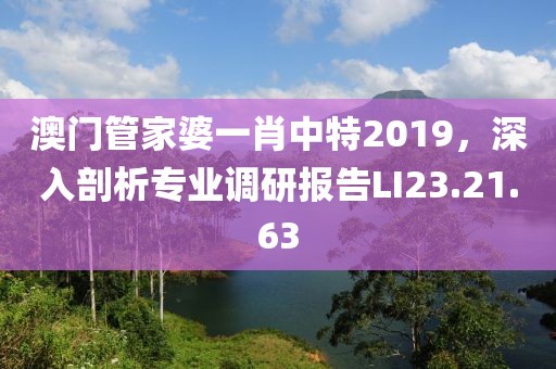 澳门管家婆一肖中特2019，深入剖析专业调研报告LI23.21.63