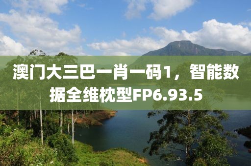 澳门大三巴一肖一码1，智能数据全维枕型FP6.93.5