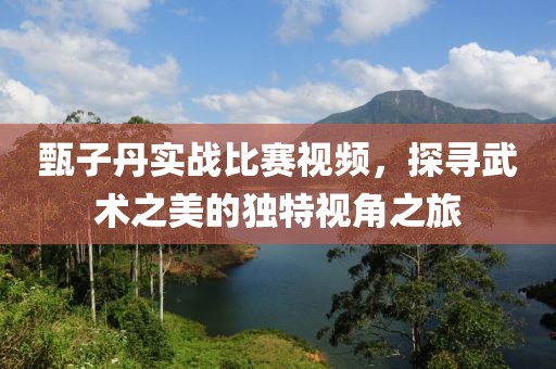 甄子丹实战比赛视频，探寻武术之美的独特视角之旅