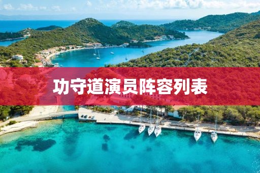 功守道演员阵容列表