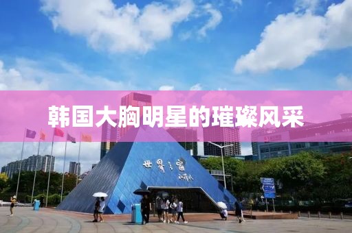 韩国大胸明星的璀璨风采
