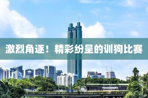 激烈角逐！精彩纷呈的训狗比赛
