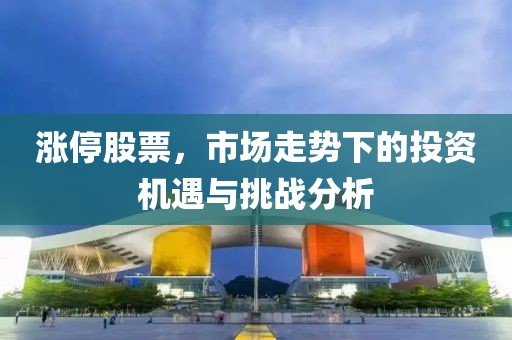 涨停股票，市场走势下的投资机遇与挑战分析