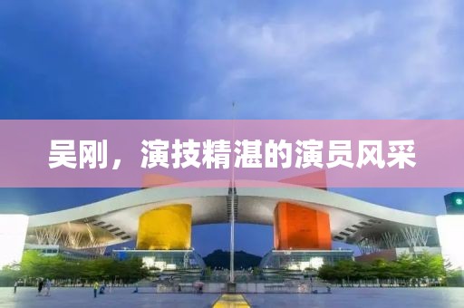 吴刚，演技精湛的演员风采