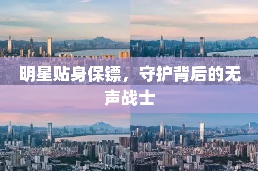 明星贴身保镖，守护背后的无声战士