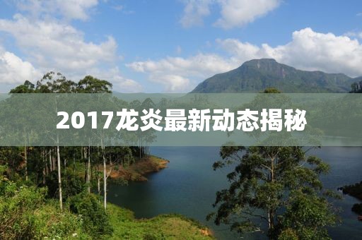 2017龙炎最新动态揭秘