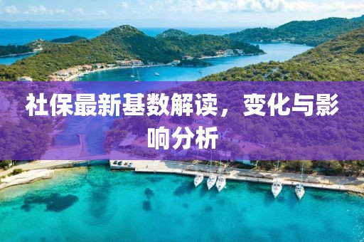 社保最新基数解读，变化与影响分析