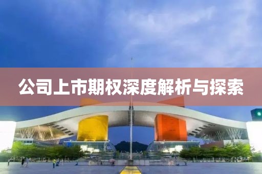 公司上市期权深度解析与探索