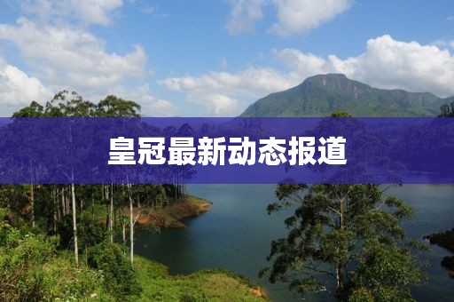 2025年2月 第306页