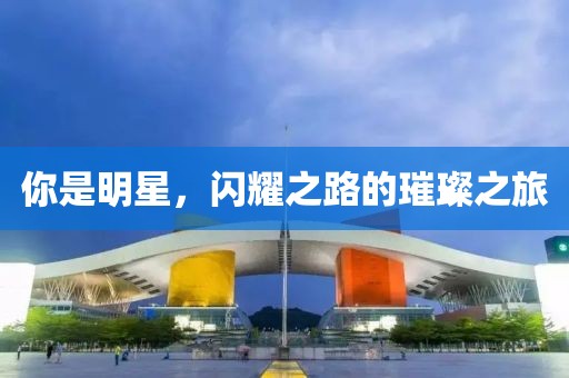 你是明星，闪耀之路的璀璨之旅
