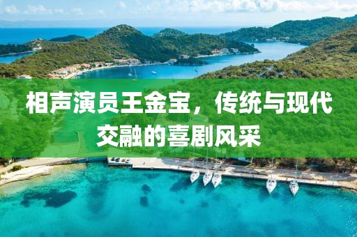 相声演员王金宝，传统与现代交融的喜剧风采
