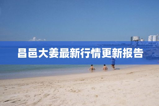 昌邑大姜最新行情更新报告