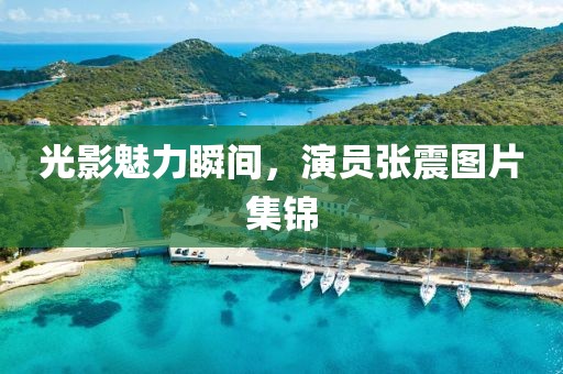 光影魅力瞬间，演员张震图片集锦