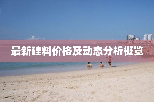 最新硅料价格及动态分析概览