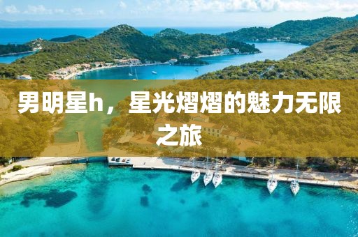 男明星h，星光熠熠的魅力无限之旅