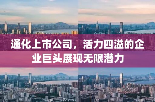 通化上市公司，活力四溢的企业巨头展现无限潜力