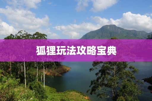 狐狸玩法攻略宝典